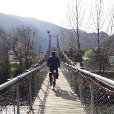 FOSO_8730b