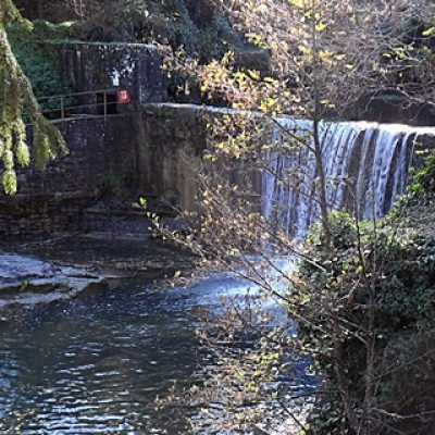 Parco-Foreste-Casentinesi