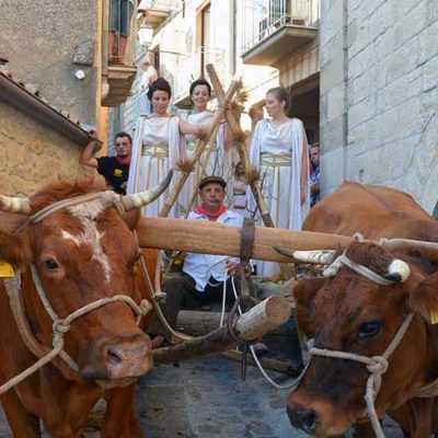 Sagra della Spiga