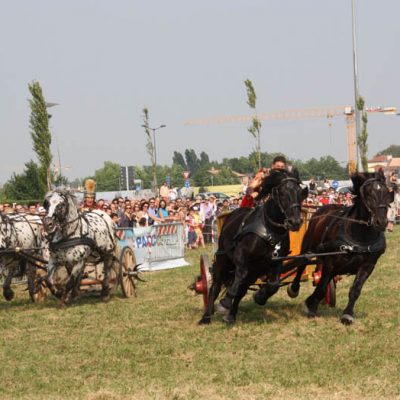 festival_internazionale_della_sibaritide