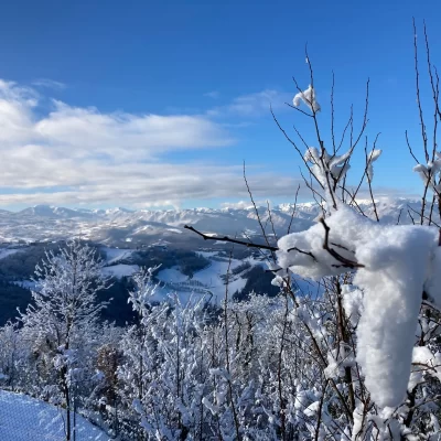 montese neve