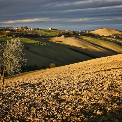 paesaggio-lapedona