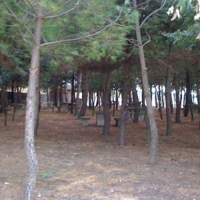 semestene-3_0